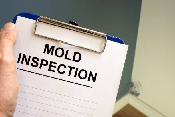  West Tawakoni, TX Mold Removal Pros